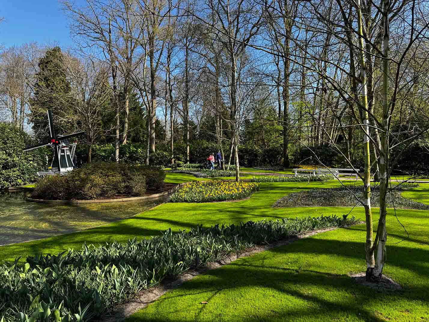 Manicured park landscape with garden beds