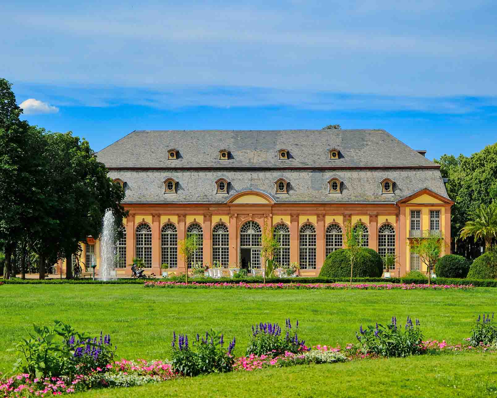 Large open lawn on a sunny day